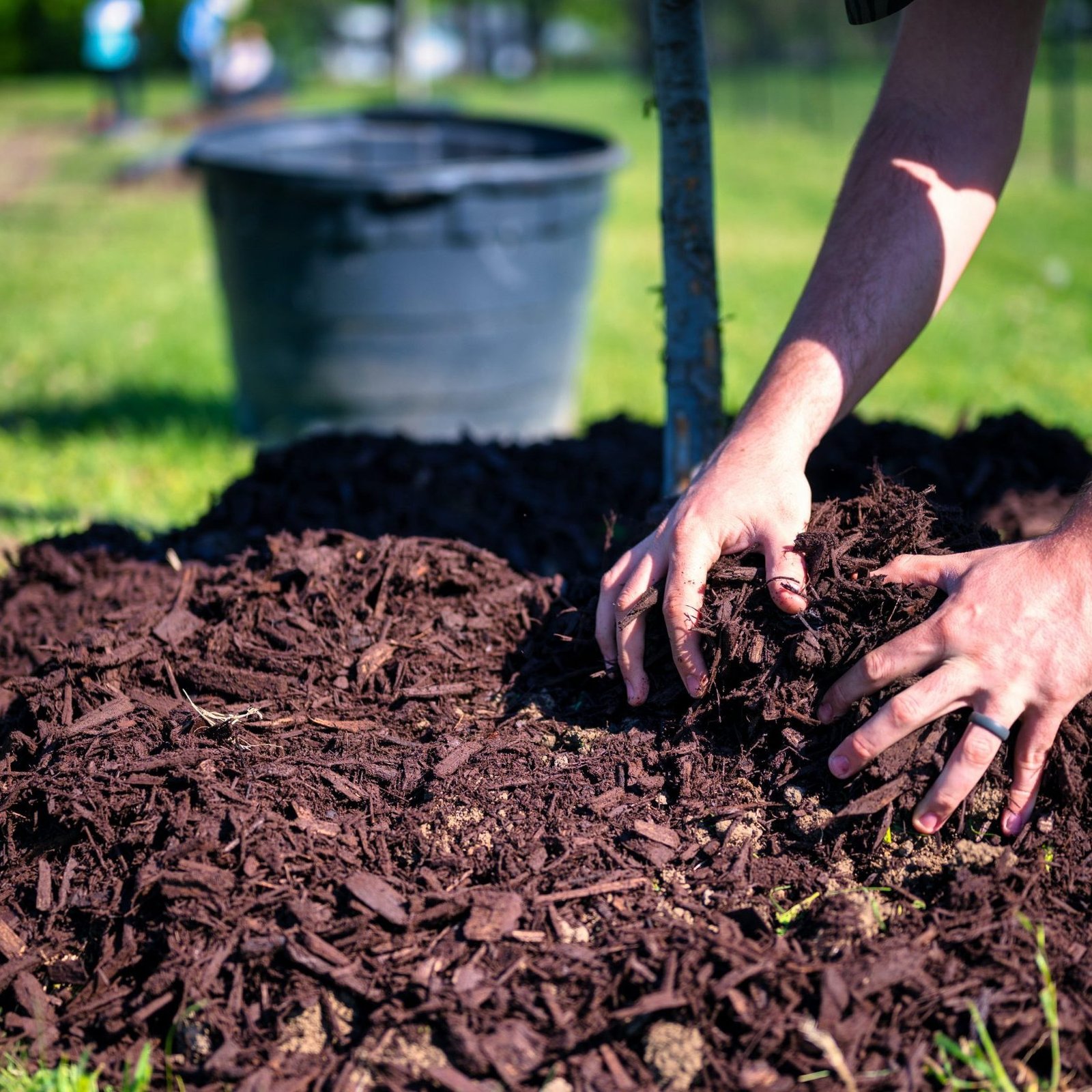 Como Fazer Compostagem em Casa